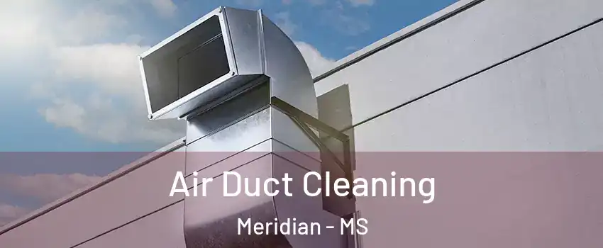  Air Duct Cleaning Meridian - MS
