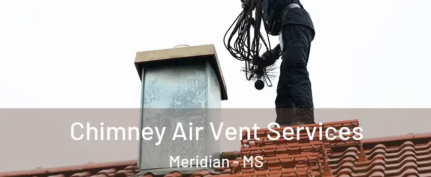  Chimney Air Vent Services Meridian - MS