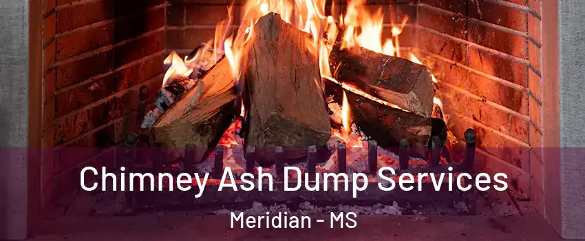  Chimney Ash Dump Services Meridian - MS
