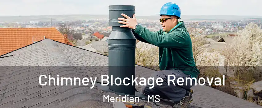  Chimney Blockage Removal Meridian - MS