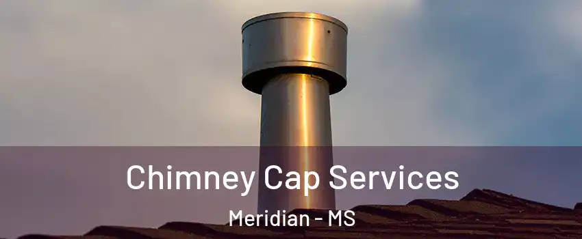  Chimney Cap Services Meridian - MS