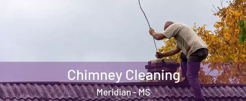  Chimney Cleaning Meridian - MS