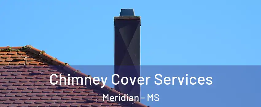  Chimney Cover Services Meridian - MS