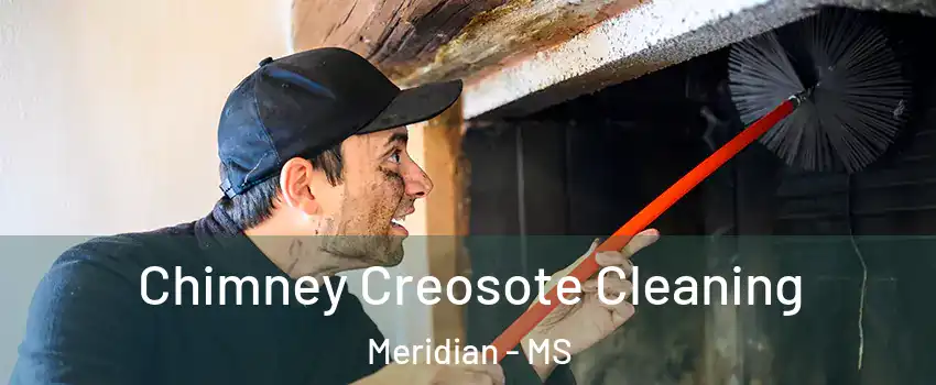  Chimney Creosote Cleaning Meridian - MS