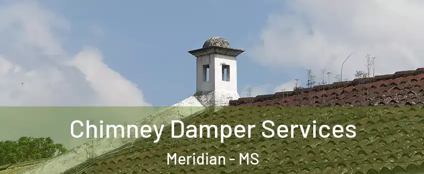  Chimney Damper Services Meridian - MS