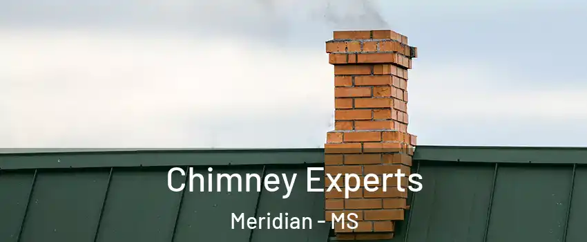 Chimney Experts Meridian - MS