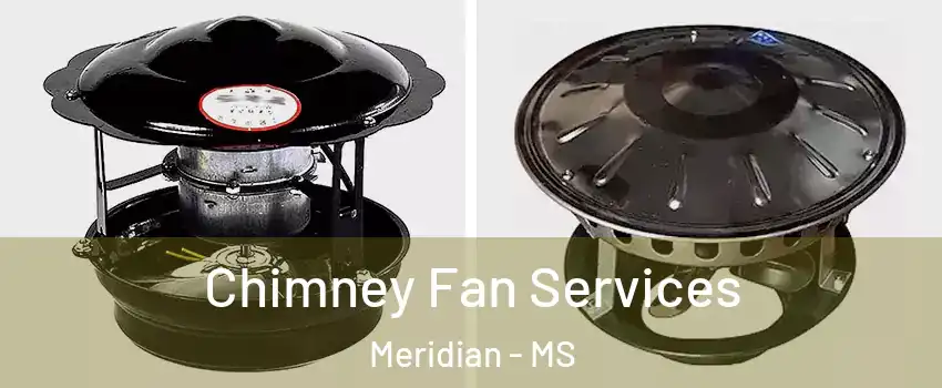  Chimney Fan Services Meridian - MS