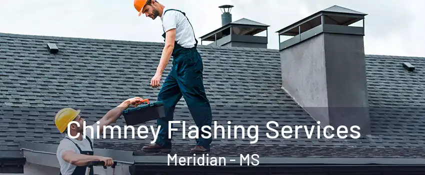 Chimney Flashing Services Meridian - MS