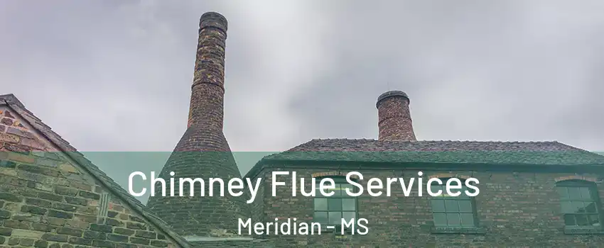  Chimney Flue Services Meridian - MS