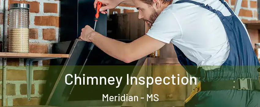  Chimney Inspection Meridian - MS