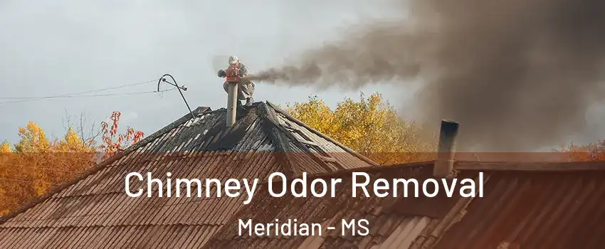  Chimney Odor Removal Meridian - MS