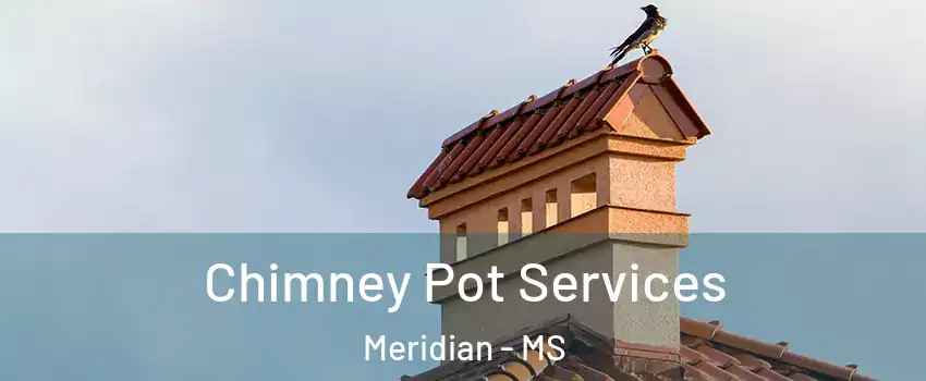  Chimney Pot Services Meridian - MS
