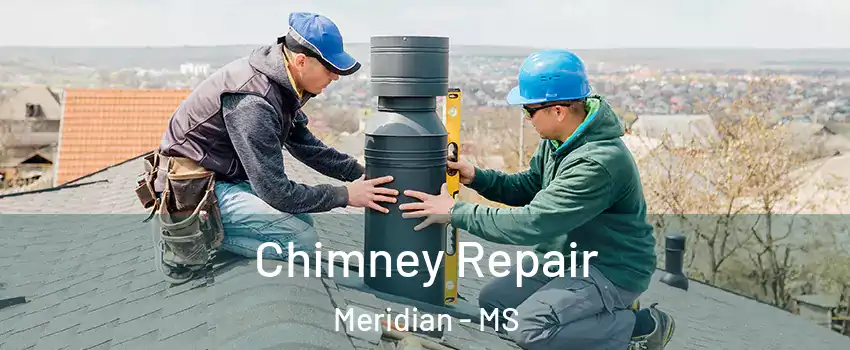  Chimney Repair Meridian - MS