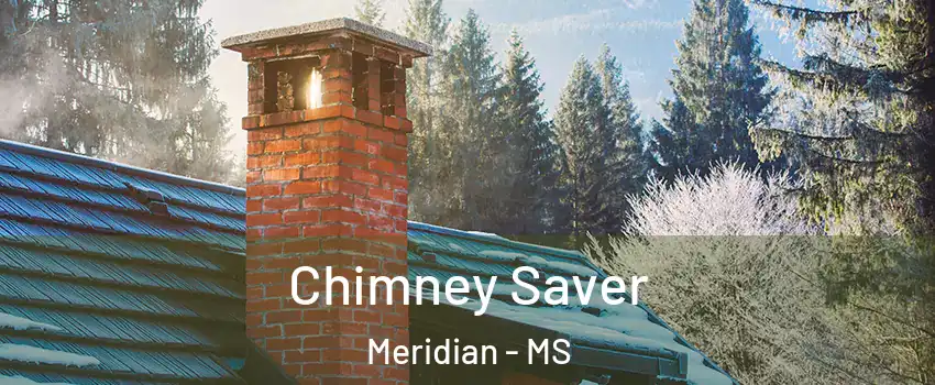  Chimney Saver Meridian - MS