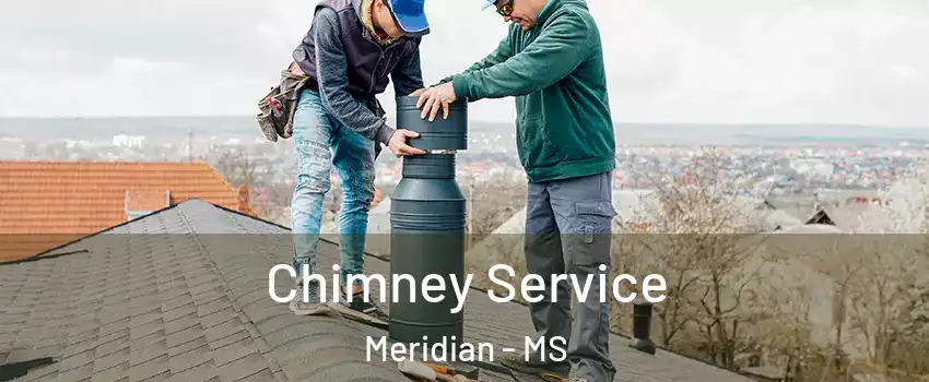  Chimney Service Meridian - MS