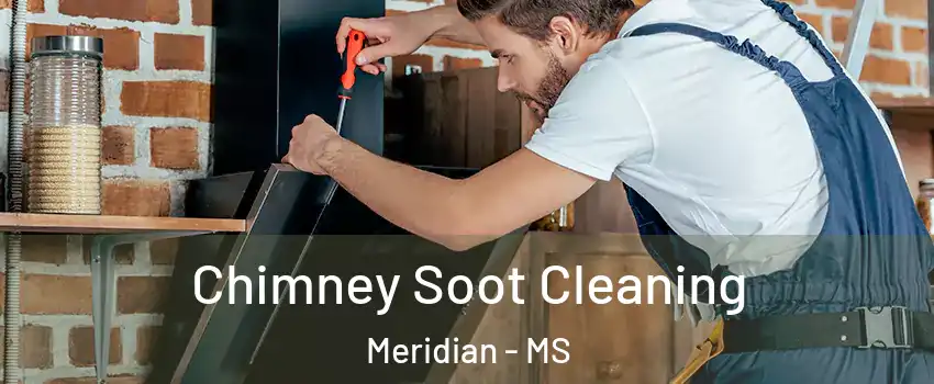  Chimney Soot Cleaning Meridian - MS