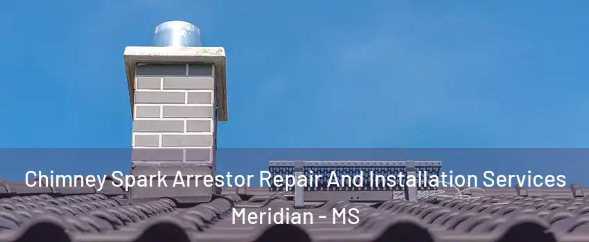  Chimney Spark Arrestor Repair And Installation Services Meridian - MS