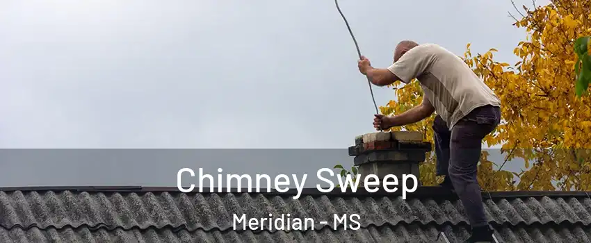  Chimney Sweep Meridian - MS