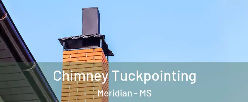  Chimney Tuckpointing Meridian - MS