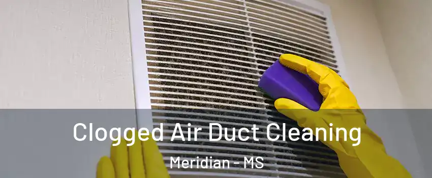  Clogged Air Duct Cleaning Meridian - MS