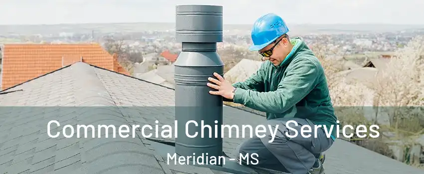  Commercial Chimney Services Meridian - MS