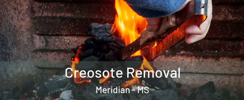  Creosote Removal Meridian - MS