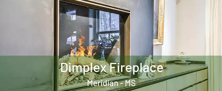  Dimplex Fireplace Meridian - MS