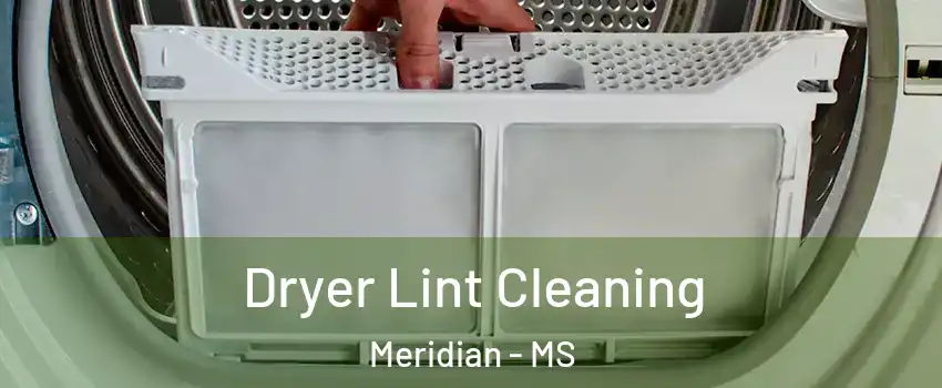  Dryer Lint Cleaning Meridian - MS
