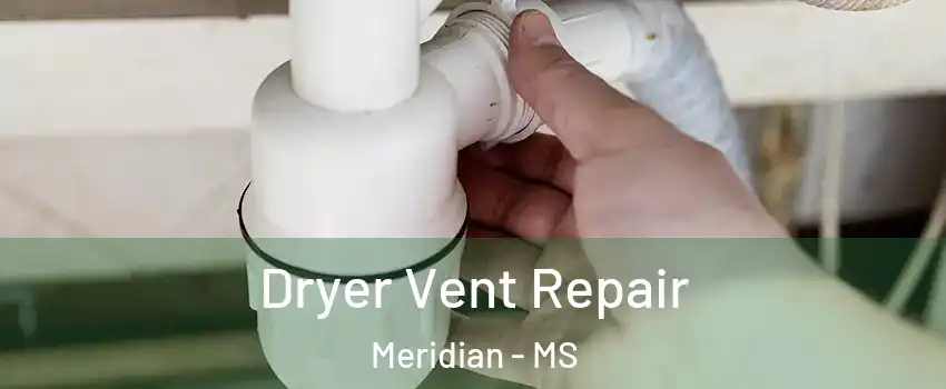  Dryer Vent Repair Meridian - MS