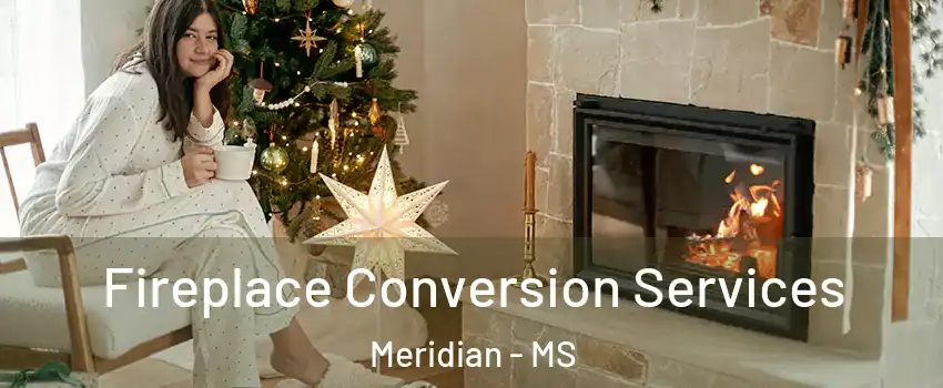  Fireplace Conversion Services Meridian - MS