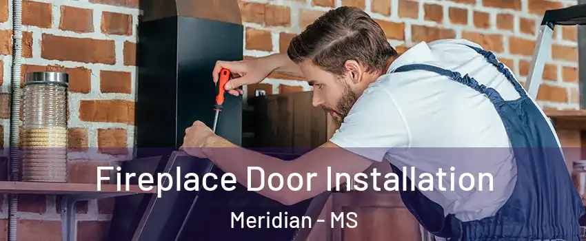  Fireplace Door Installation Meridian - MS