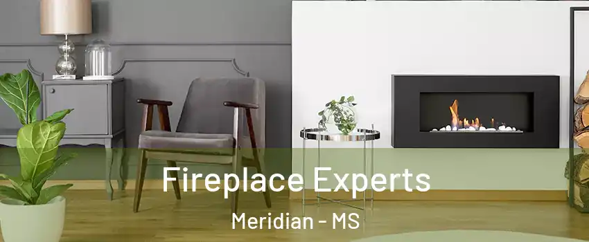  Fireplace Experts Meridian - MS