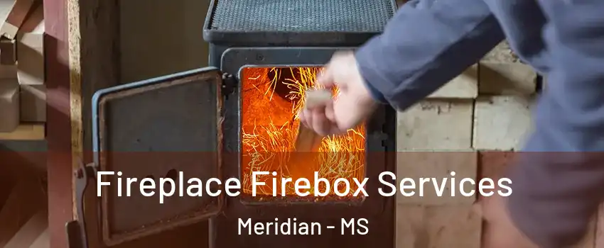  Fireplace Firebox Services Meridian - MS