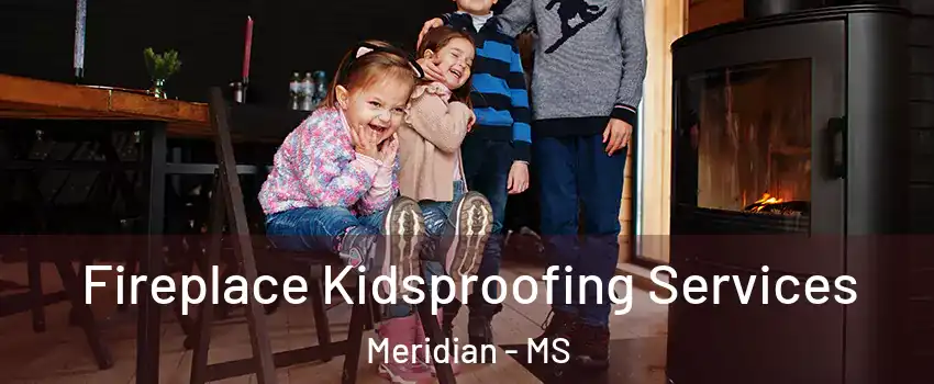  Fireplace Kidsproofing Services Meridian - MS