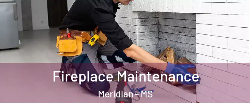  Fireplace Maintenance Meridian - MS