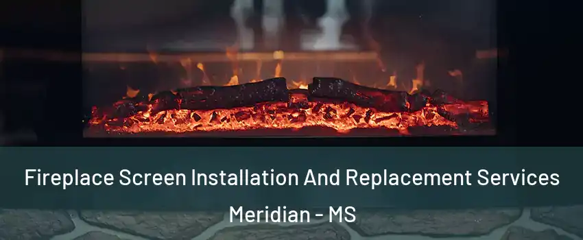  Fireplace Screen Installation And Replacement Services Meridian - MS