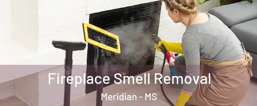  Fireplace Smell Removal Meridian - MS