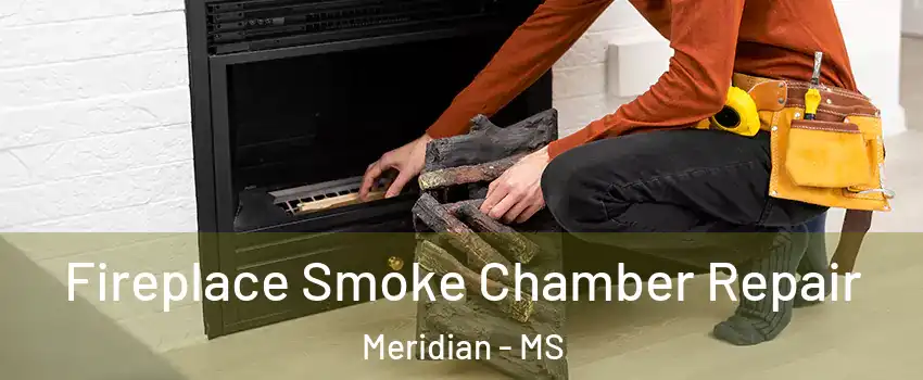 Fireplace Smoke Chamber Repair Meridian - MS