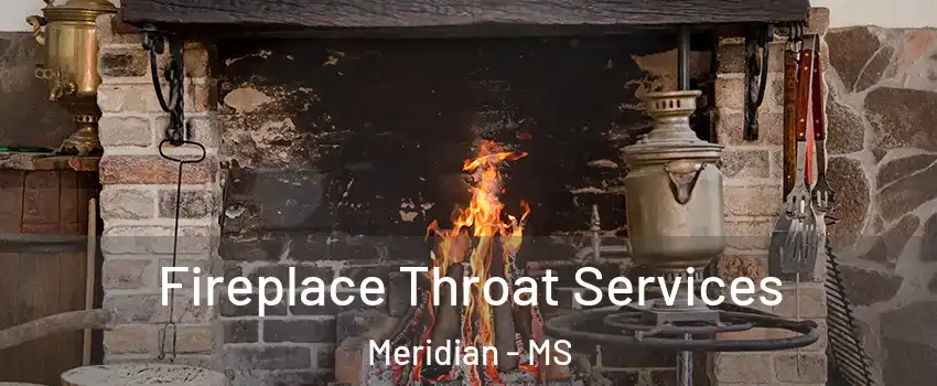  Fireplace Throat Services Meridian - MS