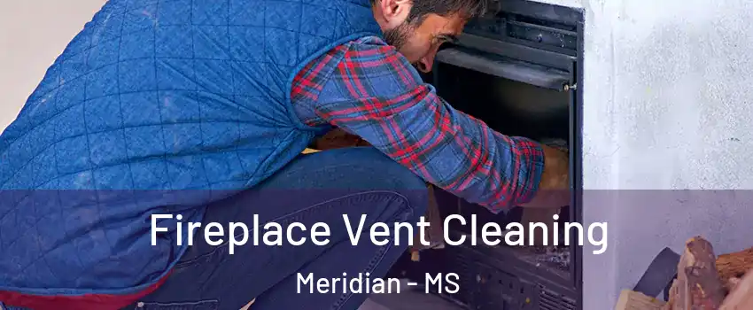  Fireplace Vent Cleaning Meridian - MS