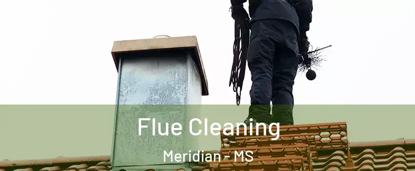  Flue Cleaning Meridian - MS