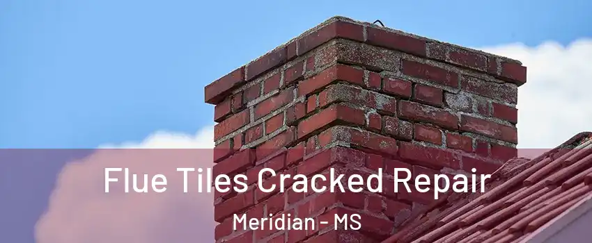  Flue Tiles Cracked Repair Meridian - MS