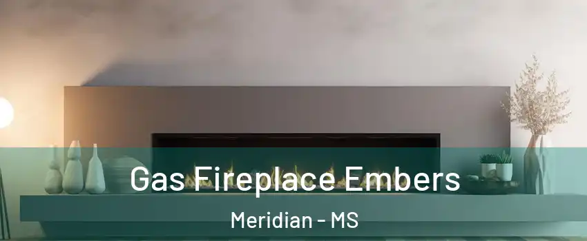  Gas Fireplace Embers Meridian - MS