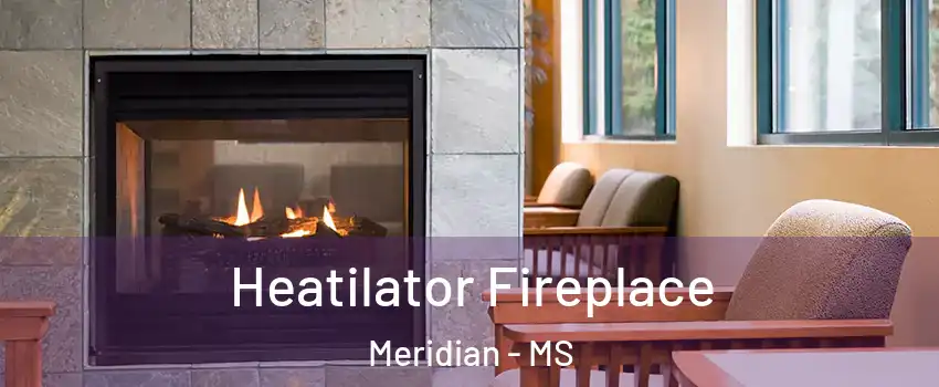  Heatilator Fireplace Meridian - MS