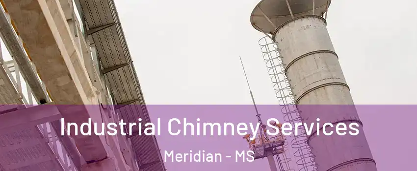  Industrial Chimney Services Meridian - MS