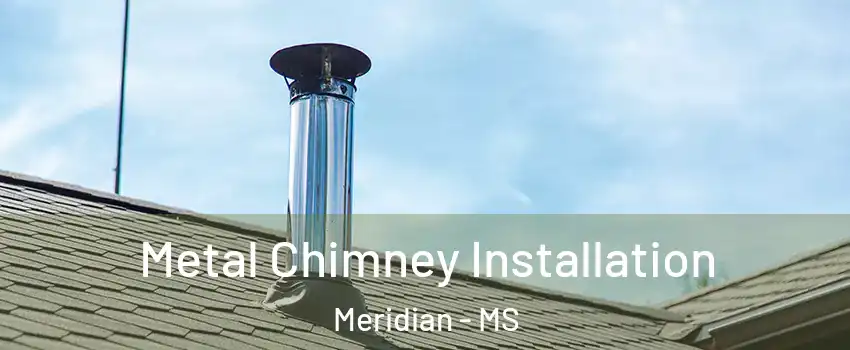  Metal Chimney Installation Meridian - MS