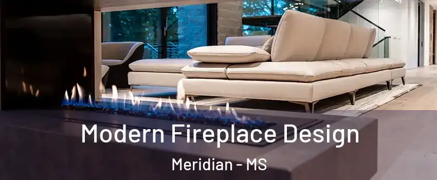  Modern Fireplace Design Meridian - MS