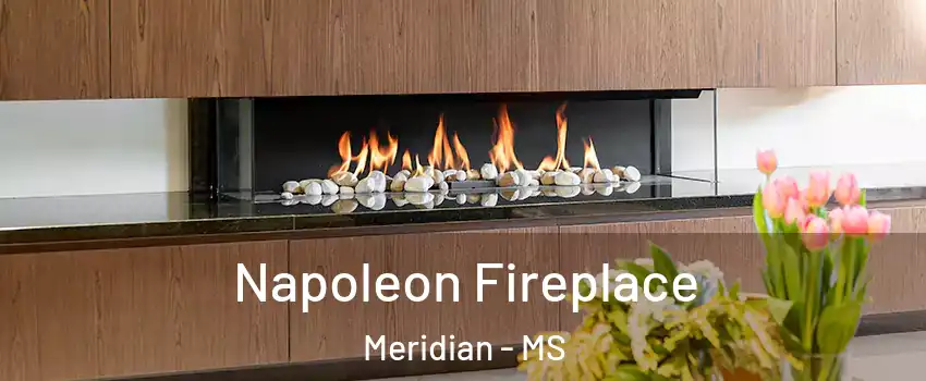  Napoleon Fireplace Meridian - MS