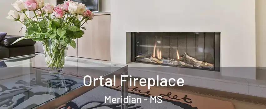 Ortal Fireplace Meridian - MS