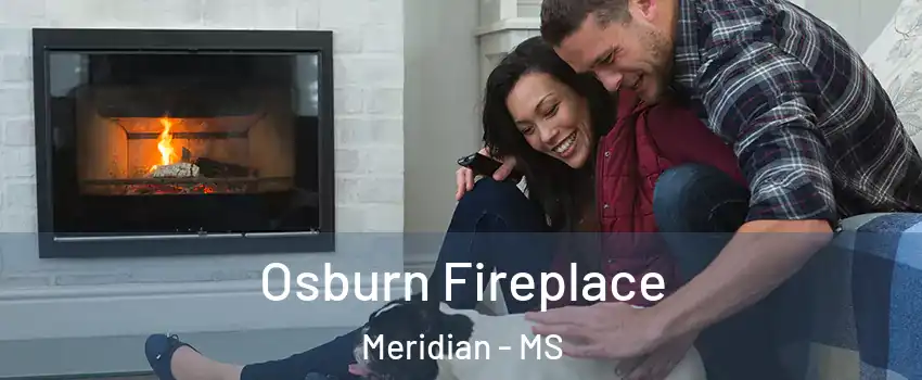  Osburn Fireplace Meridian - MS